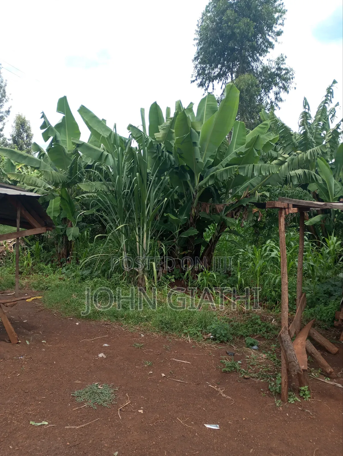 One Acre and an Eigth on Sale Along Bob Harris Ndarugo Road