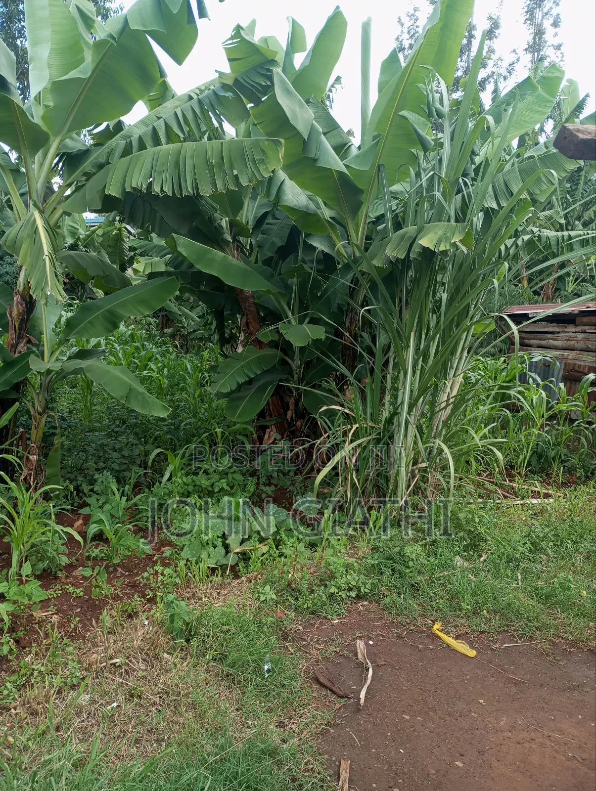 One Acre and an Eigth on Sale Along Bob Harris Ndarugo Road