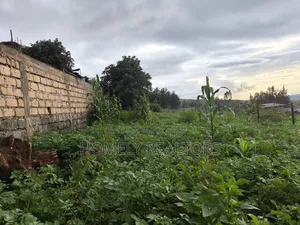 Eighth Acre Plot in Ngong Along Maragara 3rd Row From Tarmac
