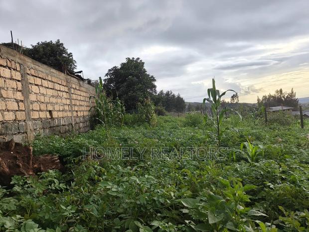 Eighth Acre Plot in Ngong Along Maragara 3rd Row From Tarmac - main view