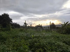 Eighth Acre Plot in Ngong Along Maragara 3rd Row From Tarmac