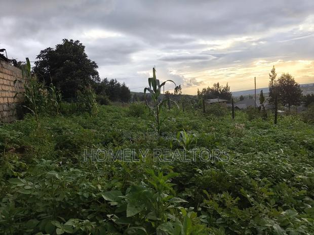 Eighth Acre Plot in Ngong Along Maragara 3rd Row From Tarmac - thumbnail 4