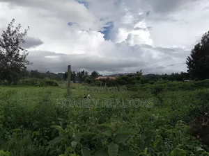 Large Eighth Acre (60*100) Plot in Ngong Along Maragara Road