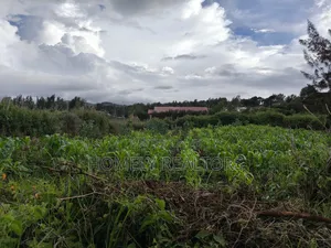 Eighth Acre Plot in Ngong Along Maragara Road Near Tarmac