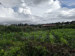 Eighth Acre Plot in Ngong Along Maragara Road Near Tarmac