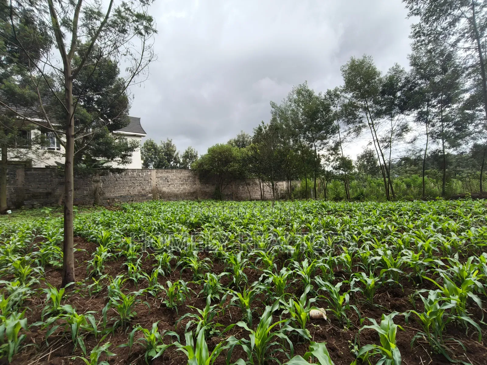 Strictly Residential Eighth Acre Plot in Kerarapon, Ngong