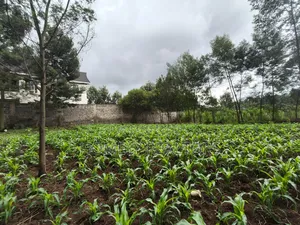 Strictly Residential Eighth Acre Plot in Kerarapon, Ngong