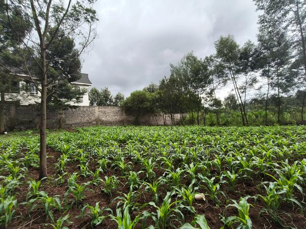 Strictly Residential Eighth Acre Plot in Kerarapon, Ngong - thumbnail 3
