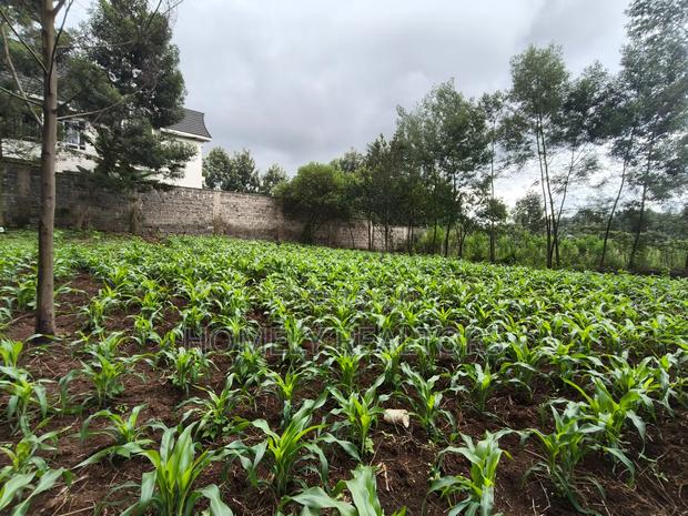 Strictly Residential Eighth Acre Plot in Kerarapon, Ngong - thumbnail 4