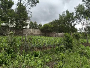 Strictly Residential Eighth Acre Plot in Kerarapon, Ngong