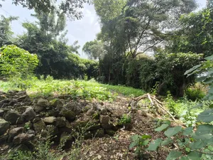 Resiential Eighth-Acre Plot in Kerarapon Ngong, Gated Estate