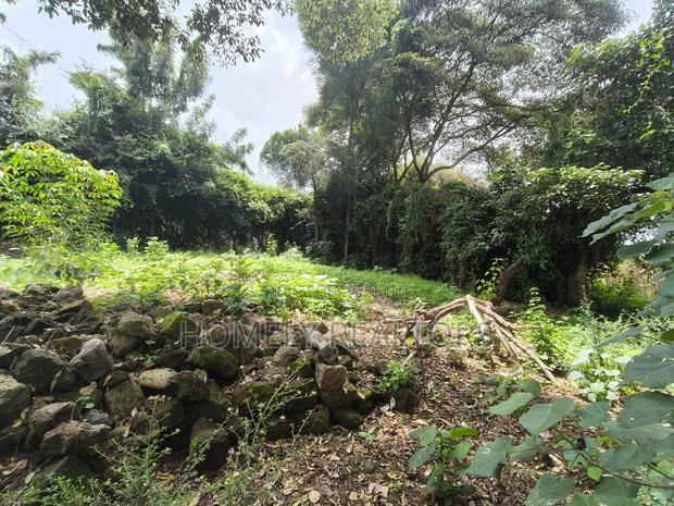 Resiential Eighth-Acre Plot in Kerarapon Ngong, Gated Estate - thumbnail 3