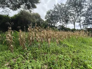 Gated Residential Eighth Acre Corner Plot in Kerarapon Ngong