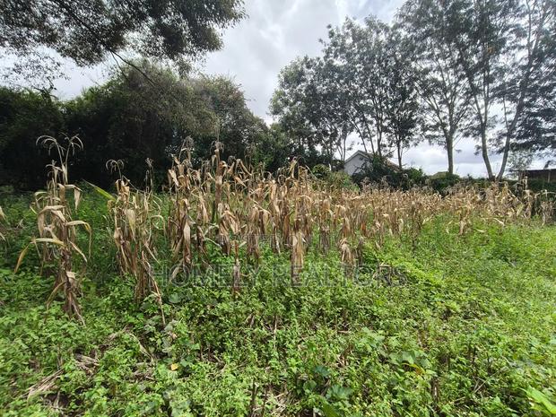 Gated Residential Eighth Acre Corner Plot in Kerarapon Ngong - thumbnail 6