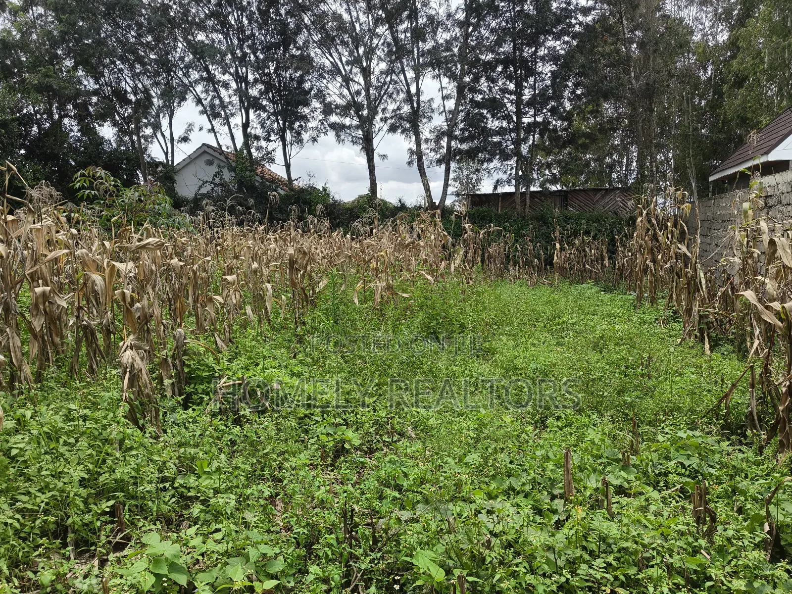 Gated Residential Eighth Acre Corner Plot in Kerarapon Ngong