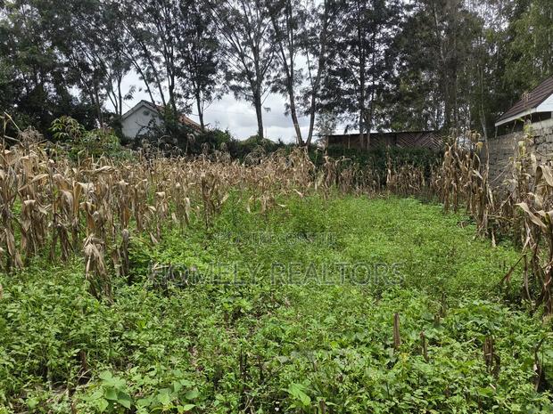 Gated Residential Eighth Acre Corner Plot in Kerarapon Ngong - thumbnail 7