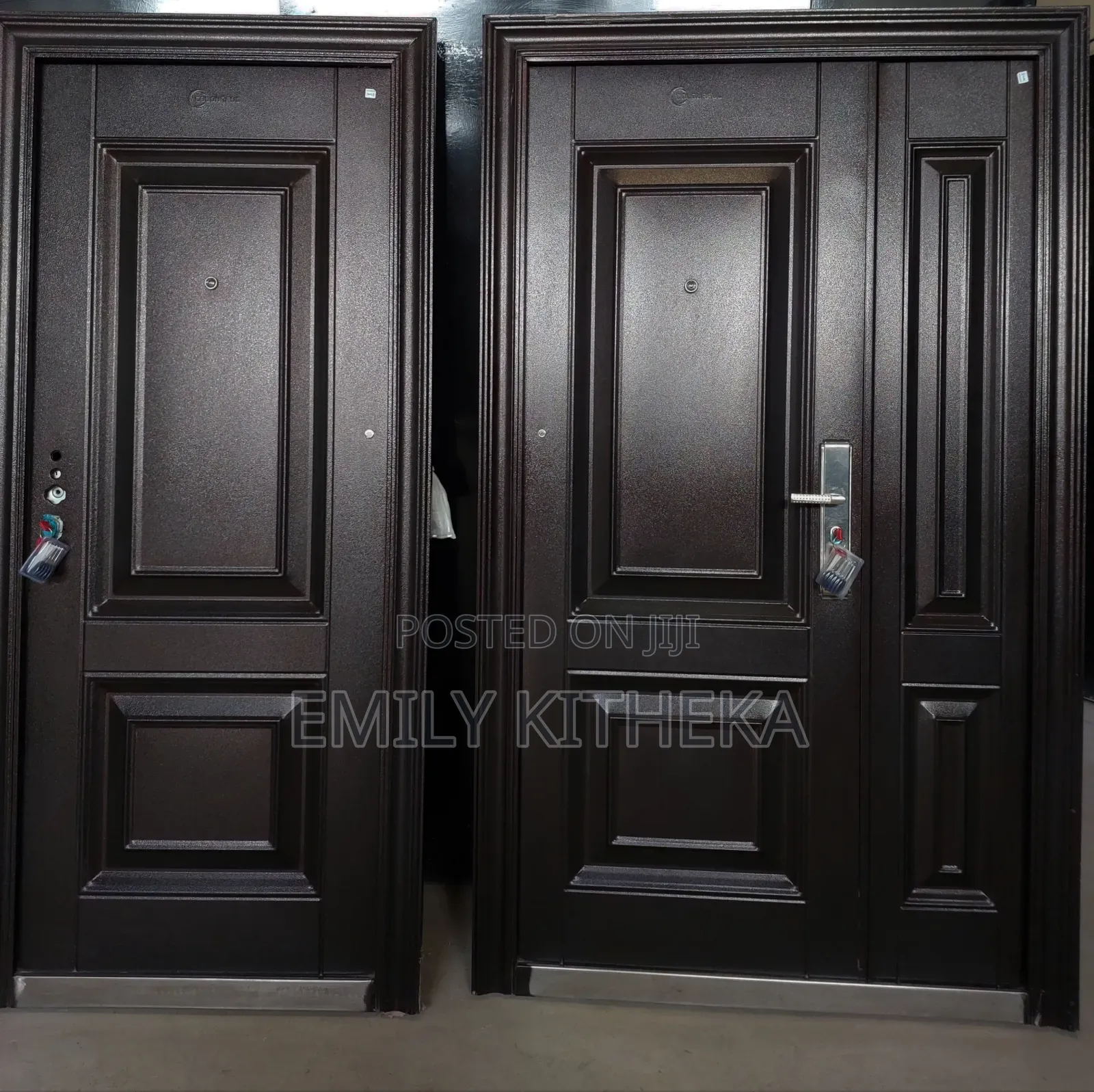 Best Quality Double and Single Steel Doors