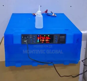 64eggs Automatic Incubator