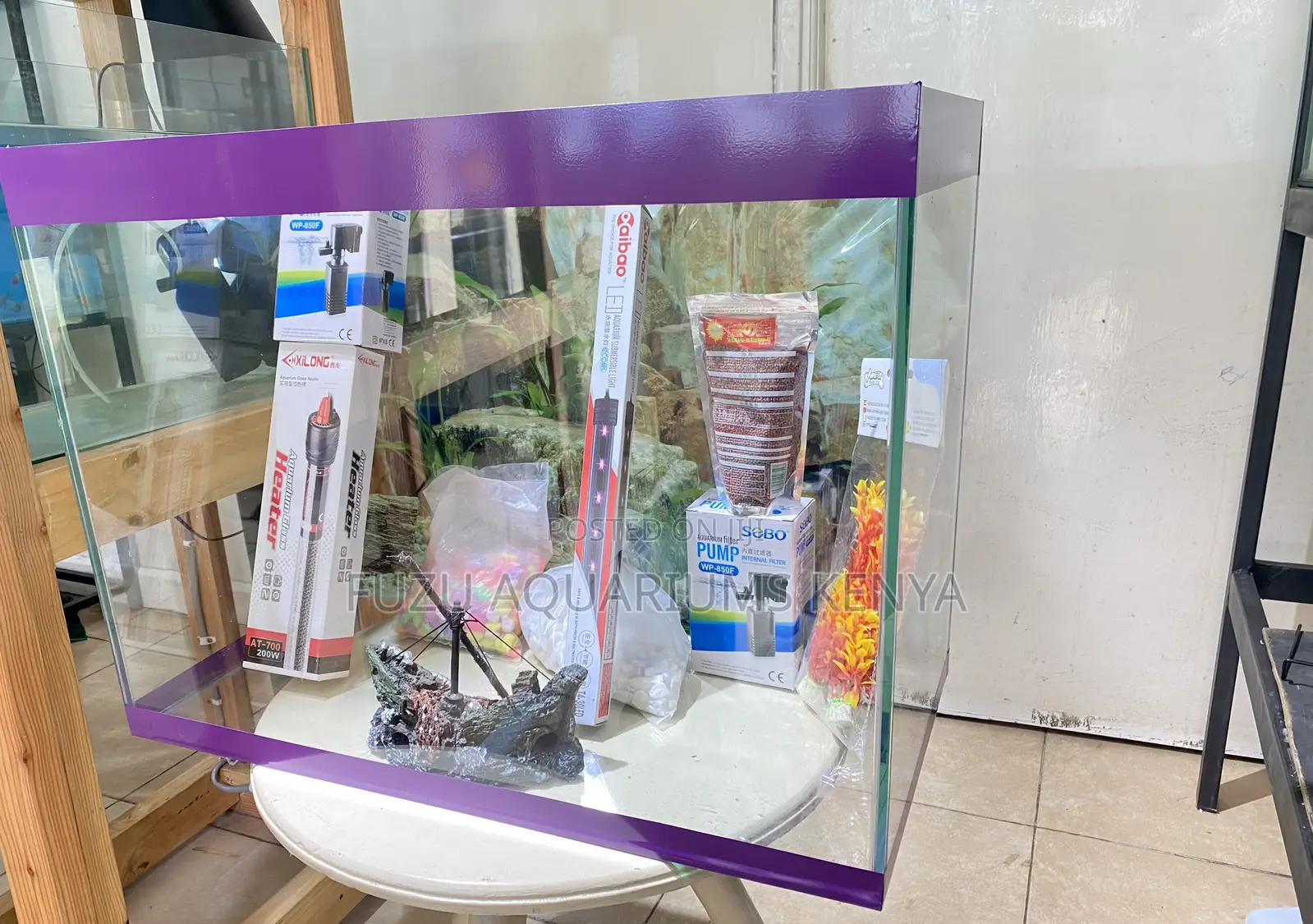 Purple 60l Aquarium – Fully Loaded Starter Kit