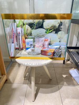 Gold 2ft Aquarium Set – Ready to Go With 10 Colorful Fish - thumbnail 2