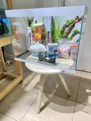 Turn Your Space Into a Mini Ocean – Fully Equipped Aquarium