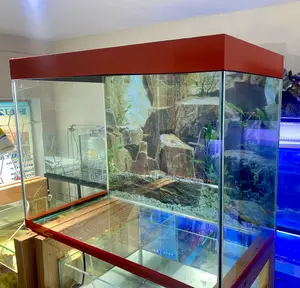 Aquarium Paradise – 60l Setup With Colorful Fish Lights