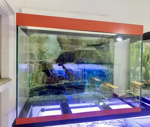 Ultimate Aquarium Deal – Filtered, Lit, and Full of Life