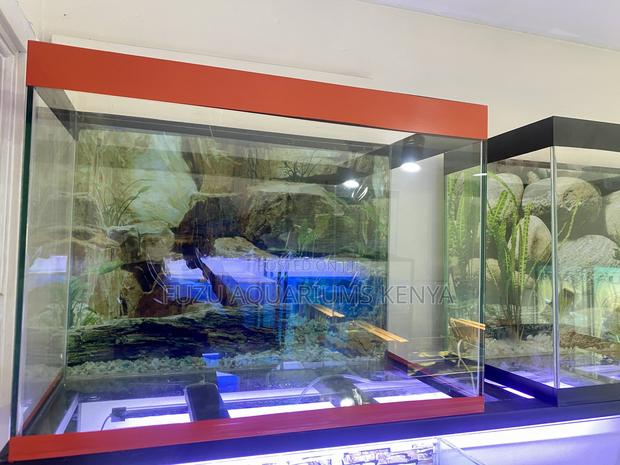 60l Aquarium With Lights, Filter, Plants Fish Galore - main view