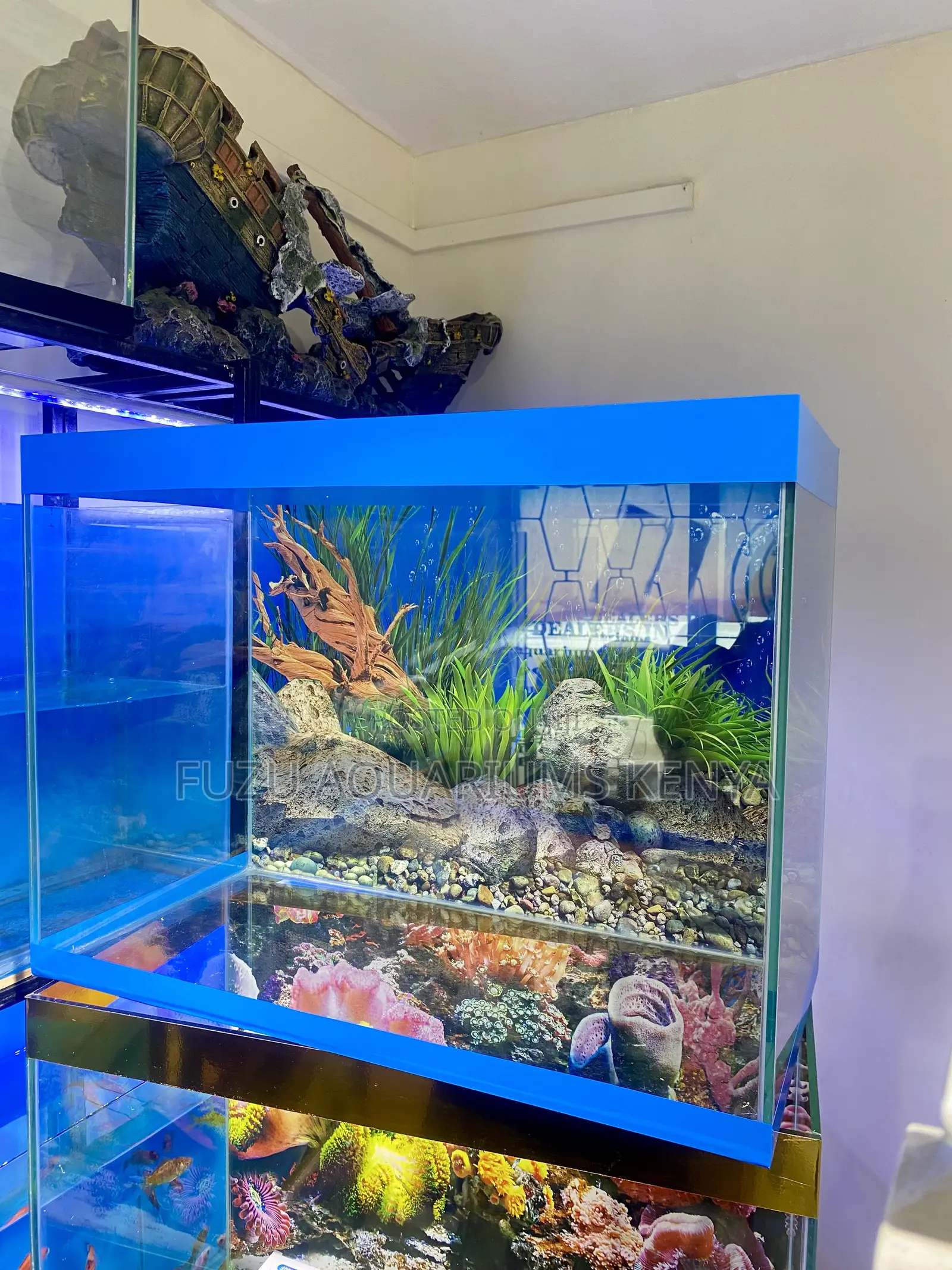 Fully Stocked Aquarium – 2ft Beauty for Your Home