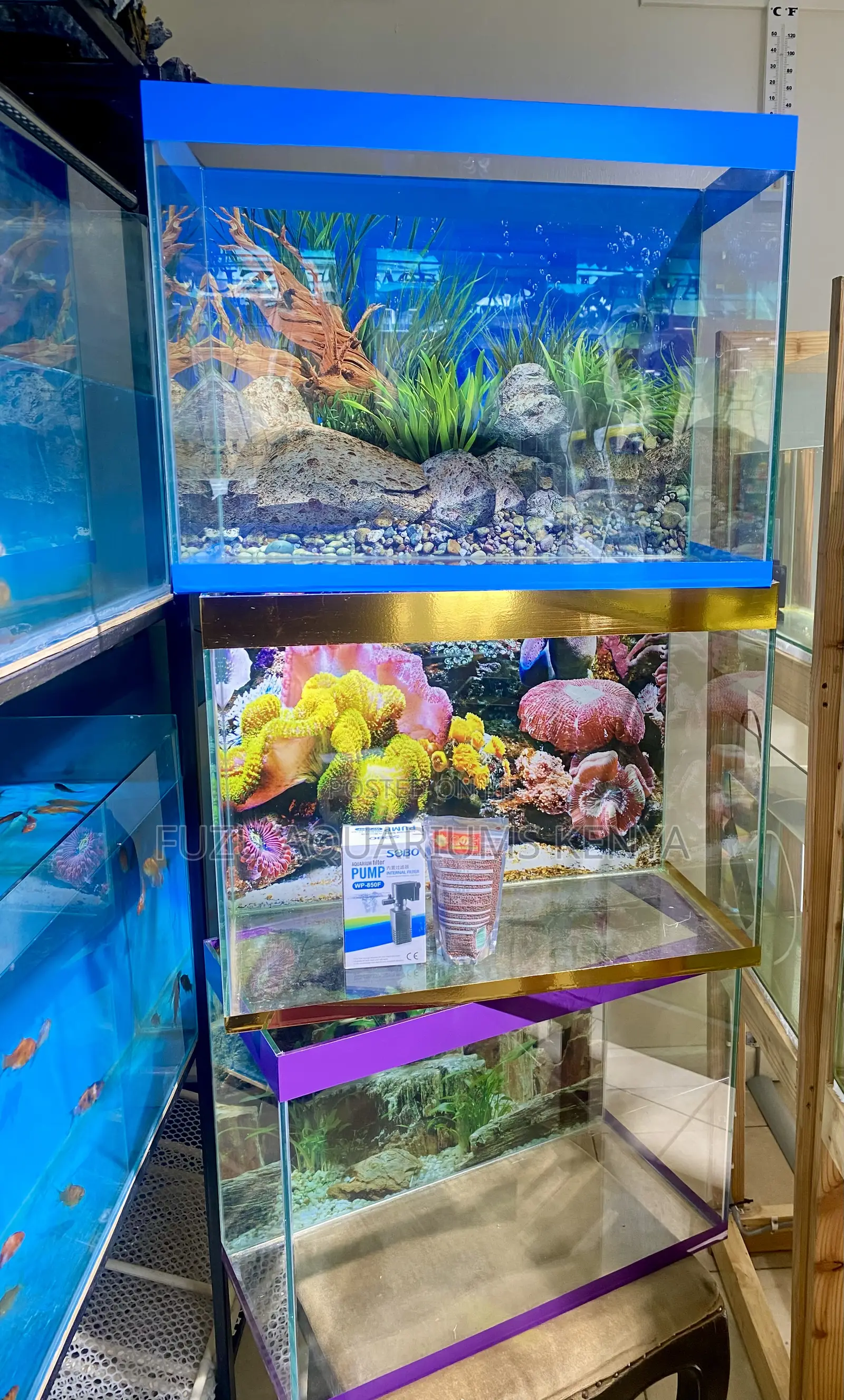 Vibrant Fish Tank With Lights, Plants Accessories