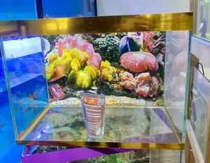 The Perfect Aquarium Kit – Gold Color, Light, Life