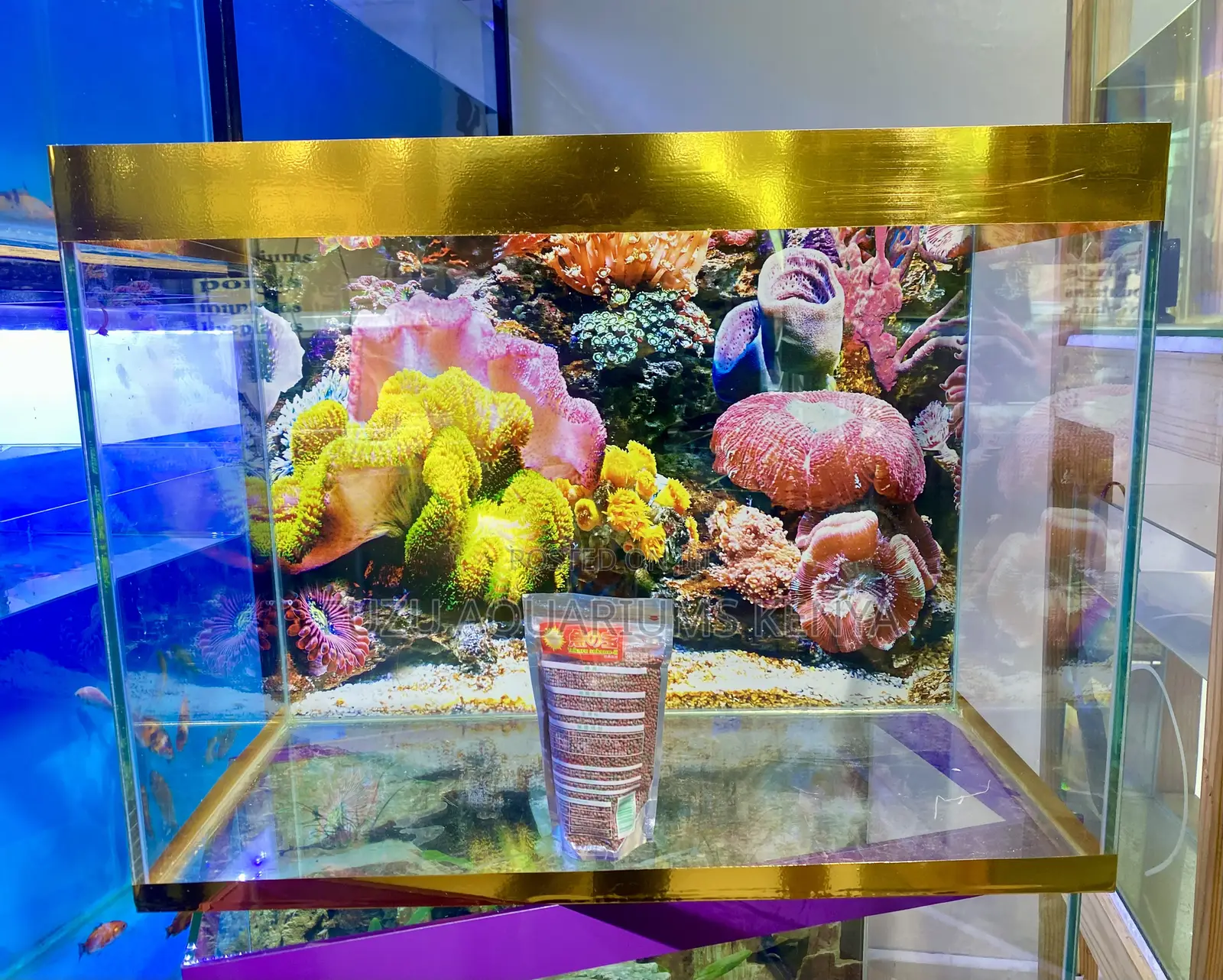 Make Fishkeeping Easy – Complete 2ft Aquarium