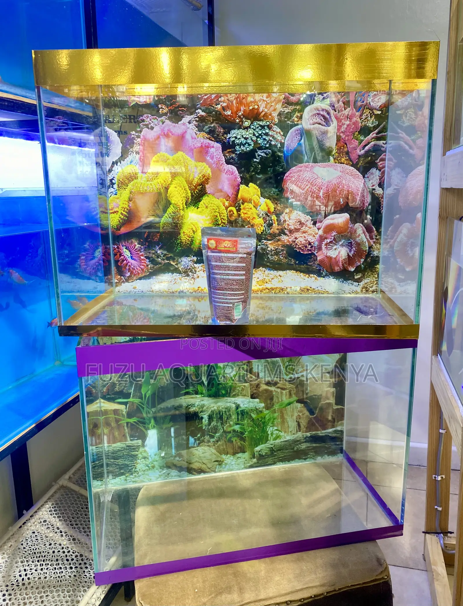 Aquarium Delight – Filter, Light, Fish More