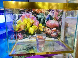 Ready-Made Fish Tank Kit – 2ft of Joy