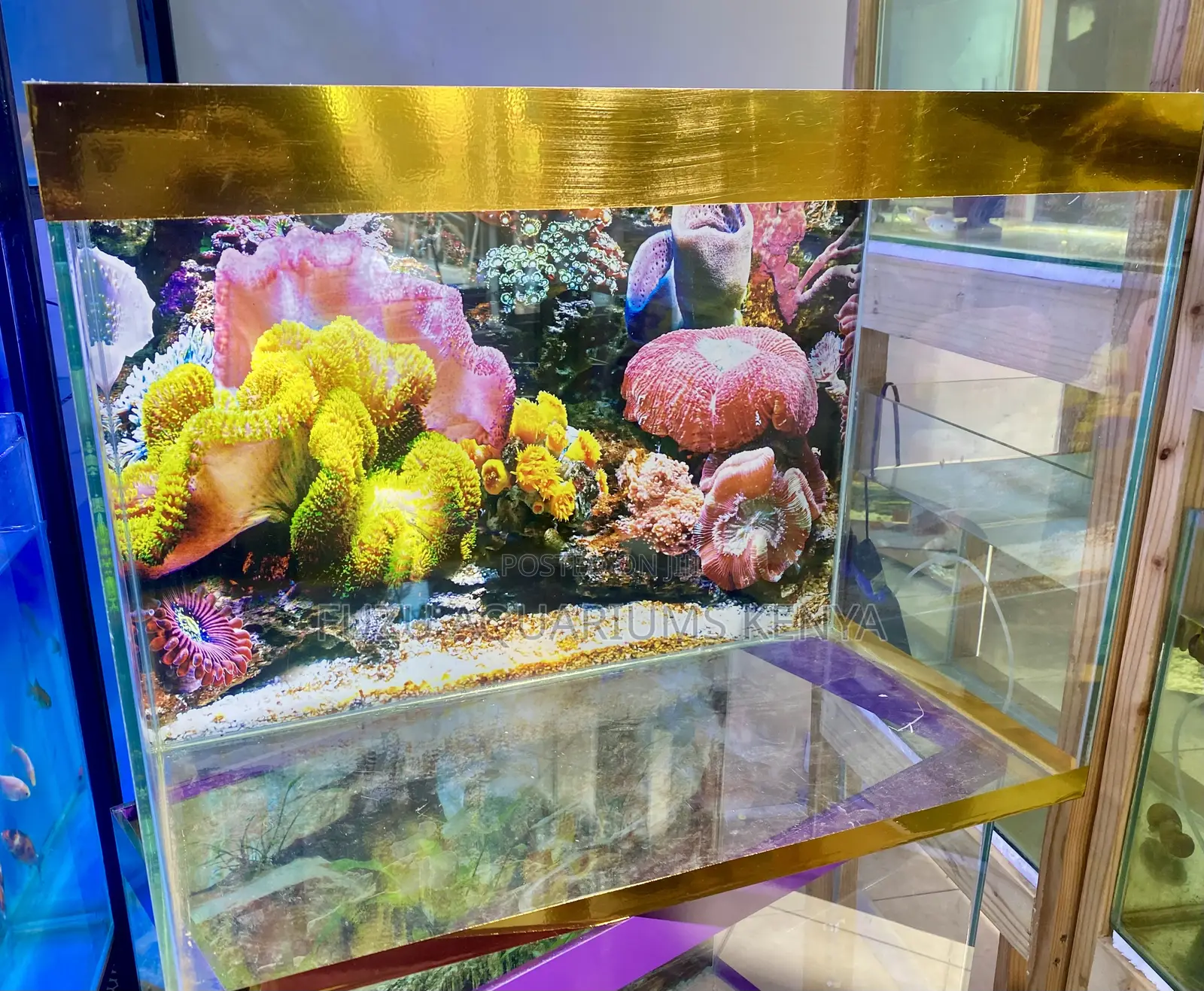 Turn Heads With This Gold Vibrant 60l Fish Tank