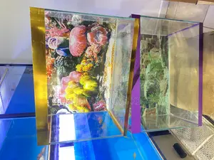 Eye-Catching 2ft Aquarium With Live Fish