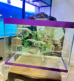 60l Aquarium Package – A World of Wonder