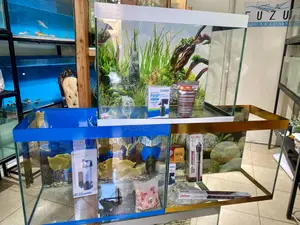 Instant Aquarium – All You Need in One Kit
