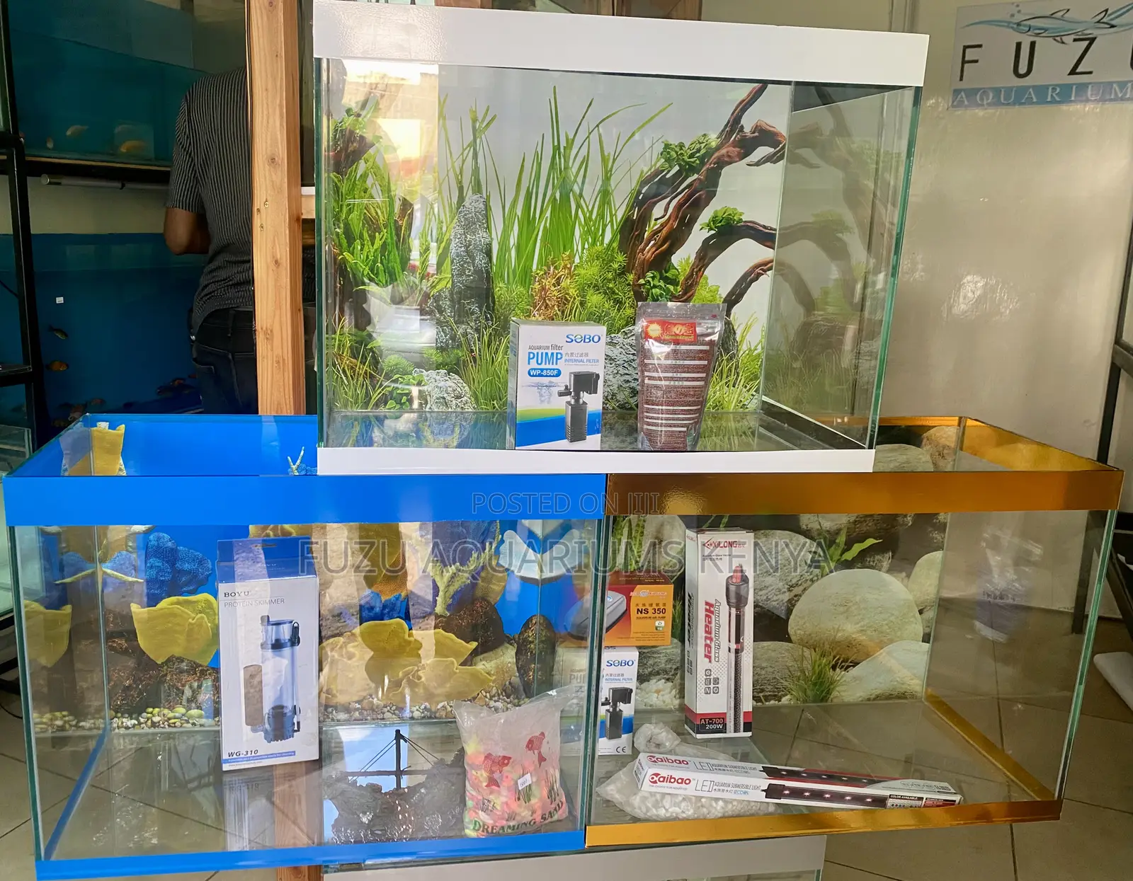 Beautiful Home Aquarium – 60l of Peace Color