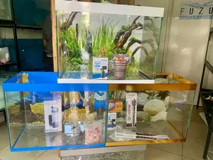 Let the Fish Dance – Complete Aquarium Kit