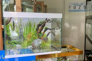 Stylish Fish Tank for Any Room – Fully Equipped