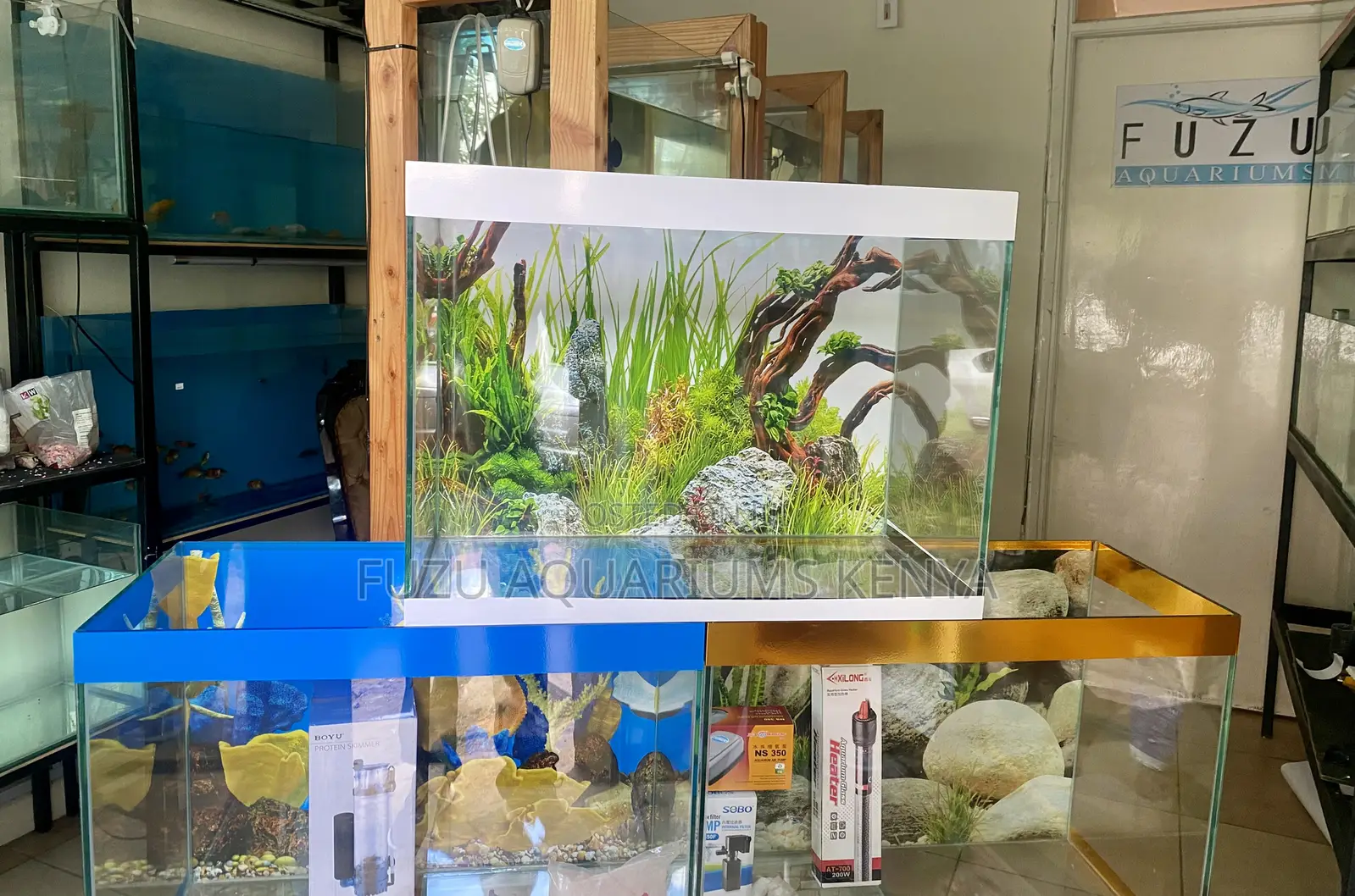 Experience Underwater Beauty With Our 2ft Aquarium