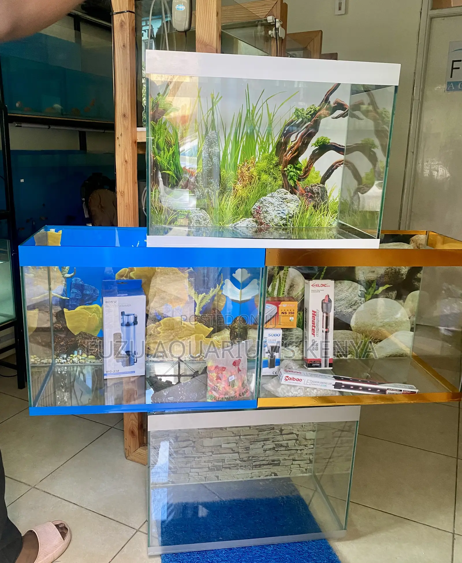 Nature in a Box – Colorful 60l Aquarium for Every Home