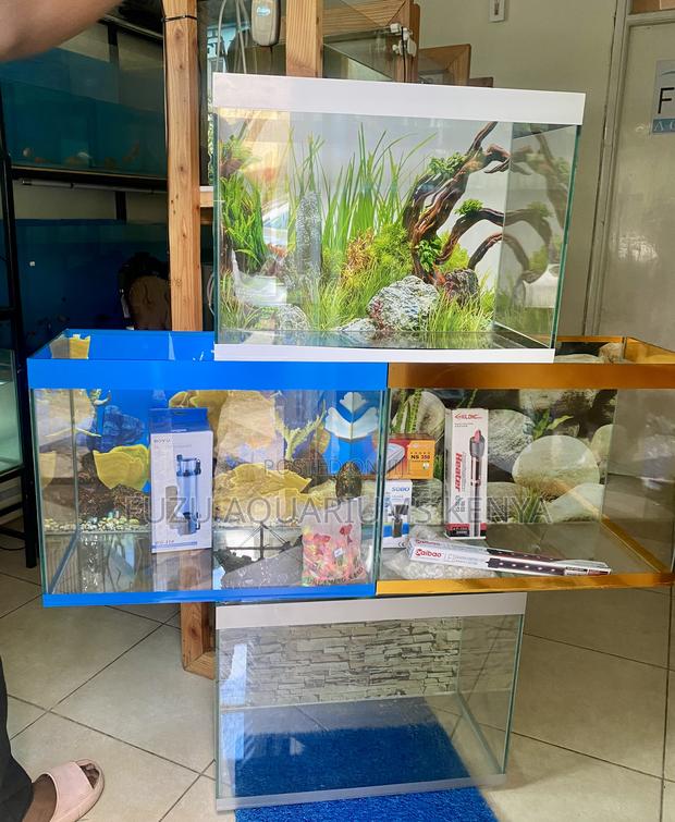 Nature in a Box – Colorful 60l Aquarium for Every Home