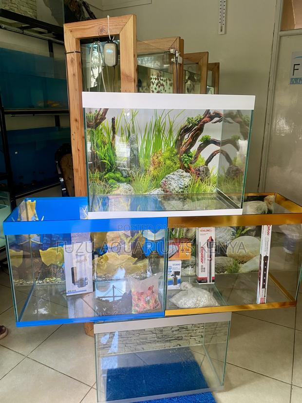 Brighten Your Space With This Ready Aquarium - main view