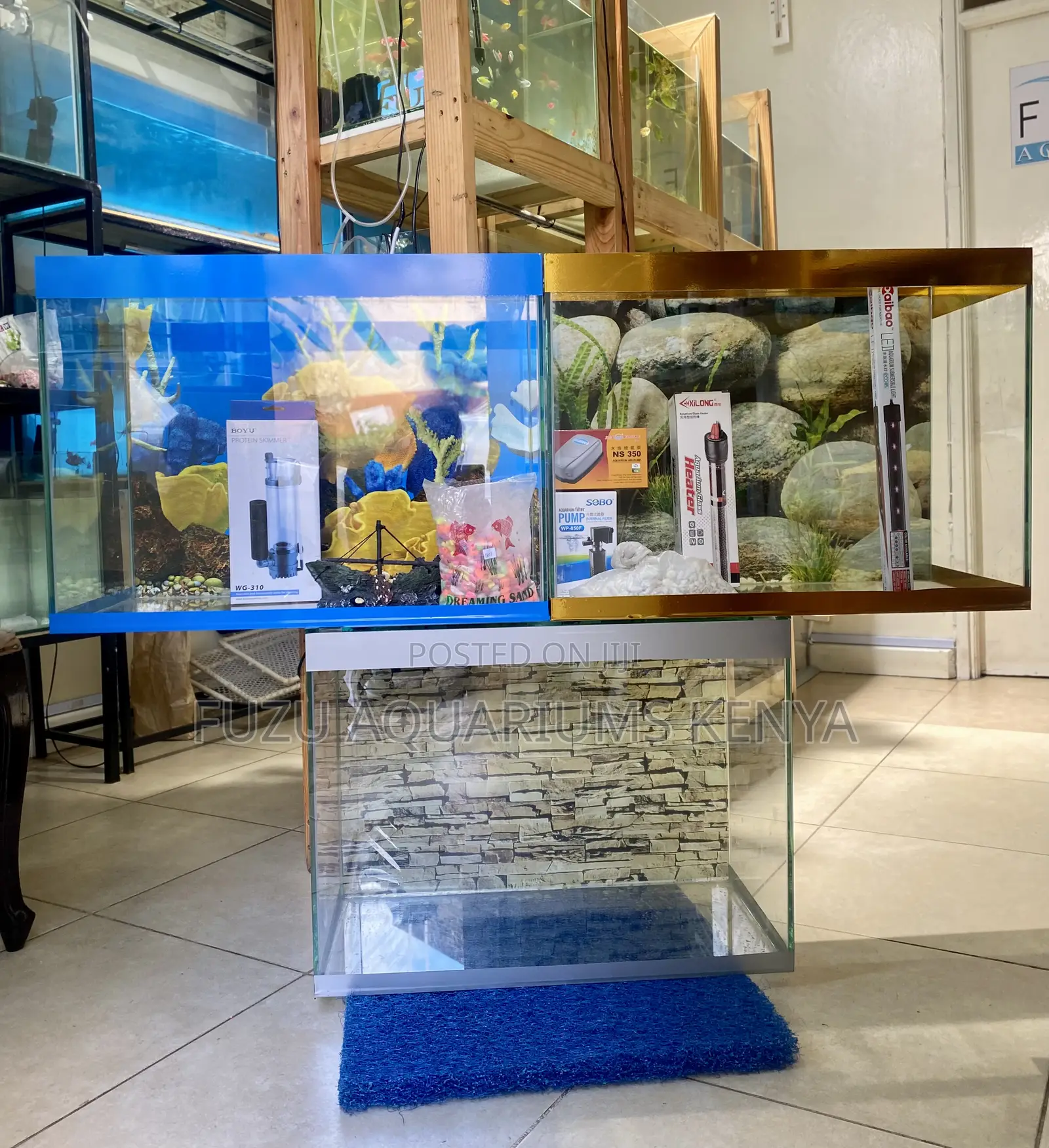 Serenity Delivered – Fully Stocked 2ft Aquarium