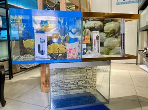 Enjoy the Calm – 60l Aquarium Starter Set