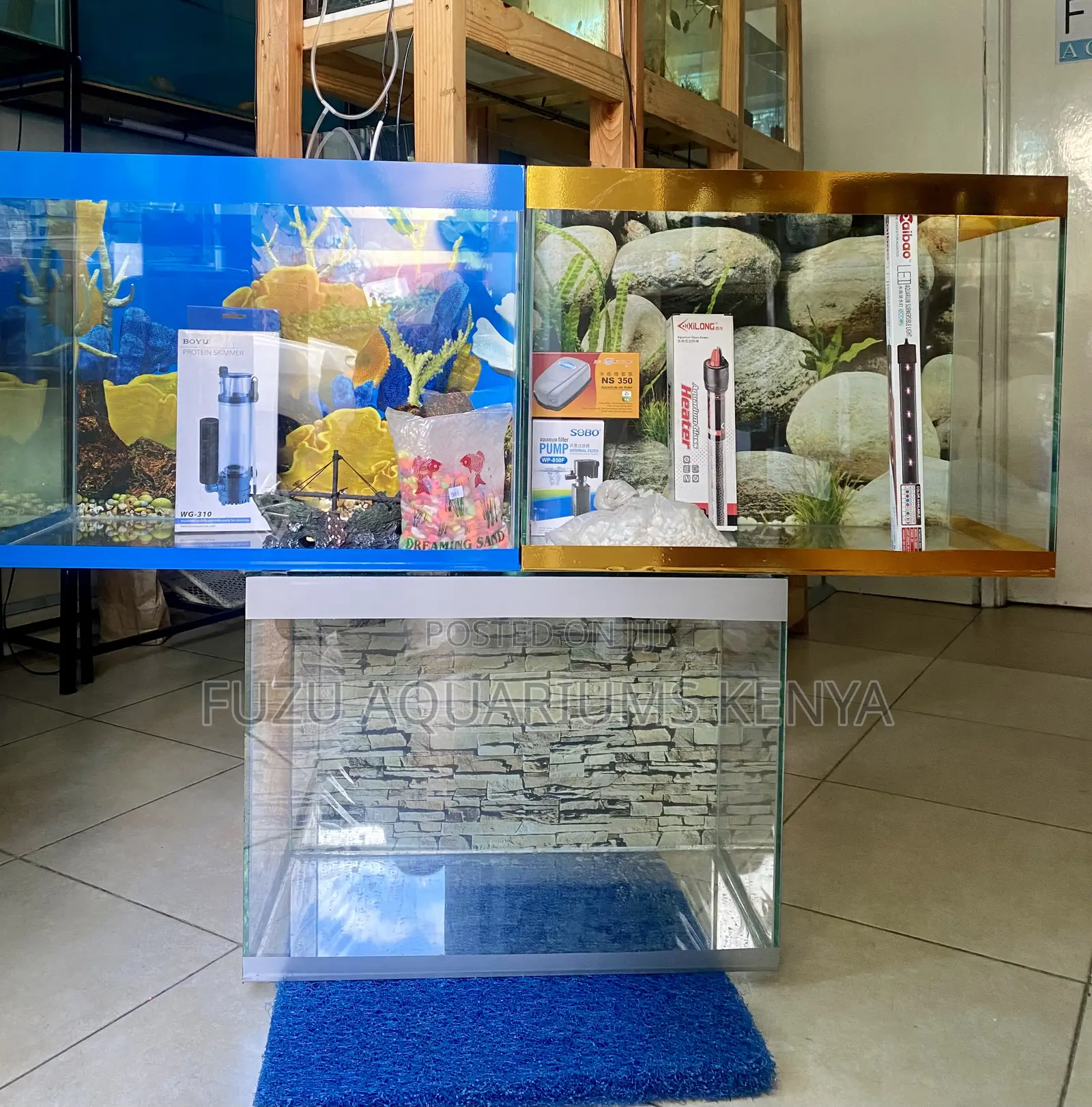 Beautiful Colorful 2ft Aquarium With Filter, Light Fish