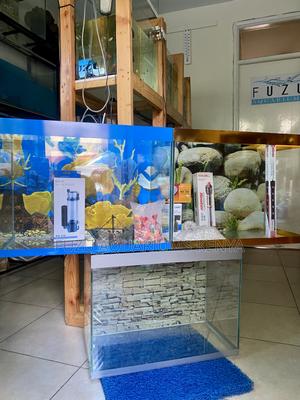 Your Underwater Oasis – Just One Aquarium Away - thumbnail 2