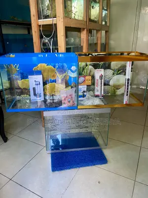 Bring Color to Life – Full Aquarium Package